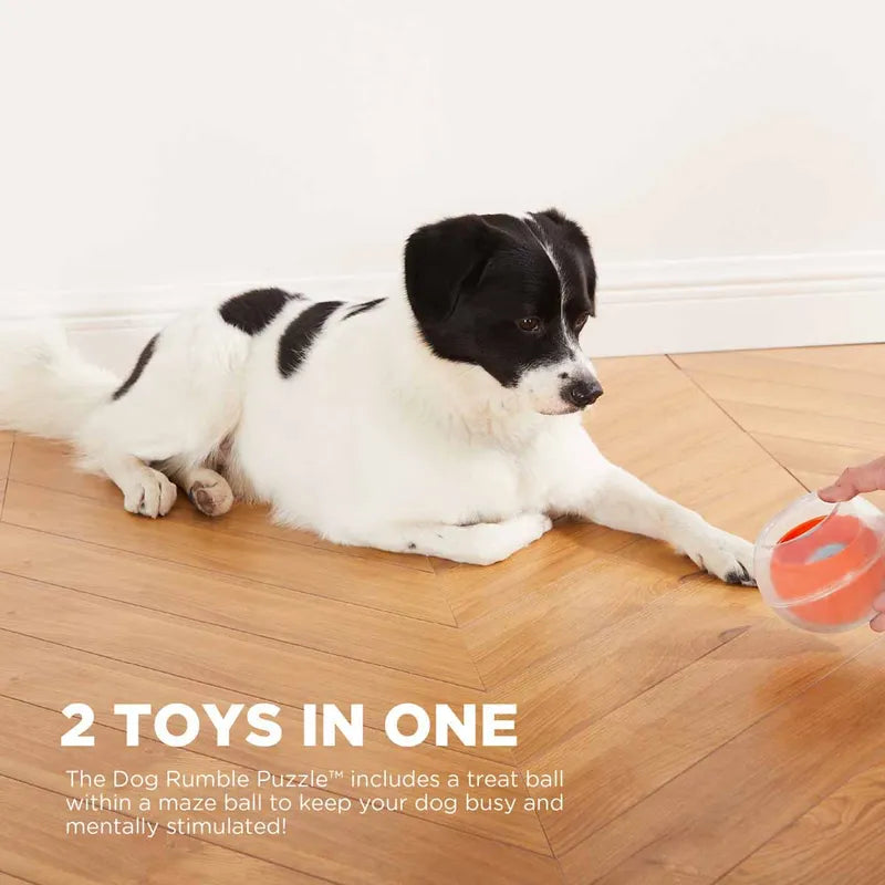 Oh Dog Rumble Puzzle Orange