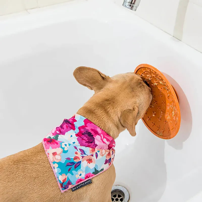 Hundskål Lickimat Splash Grön 19cm