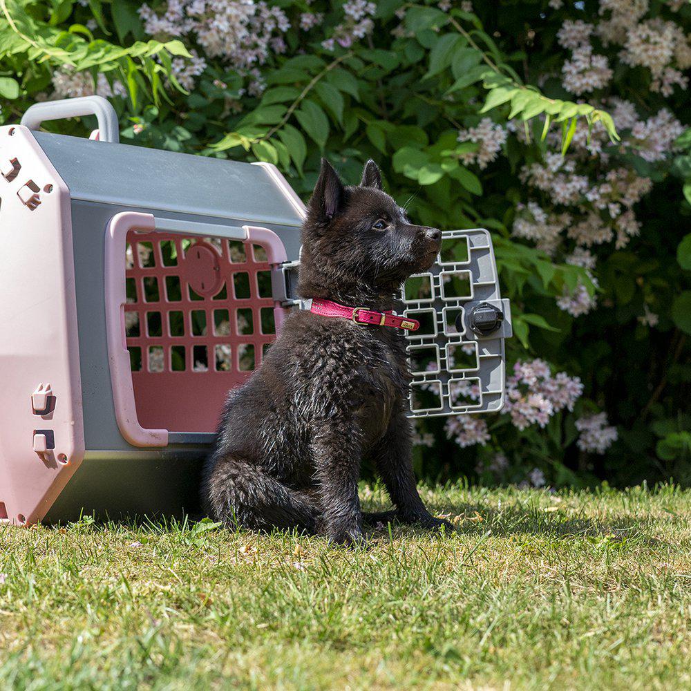 Mim Care2 Medium Rosa