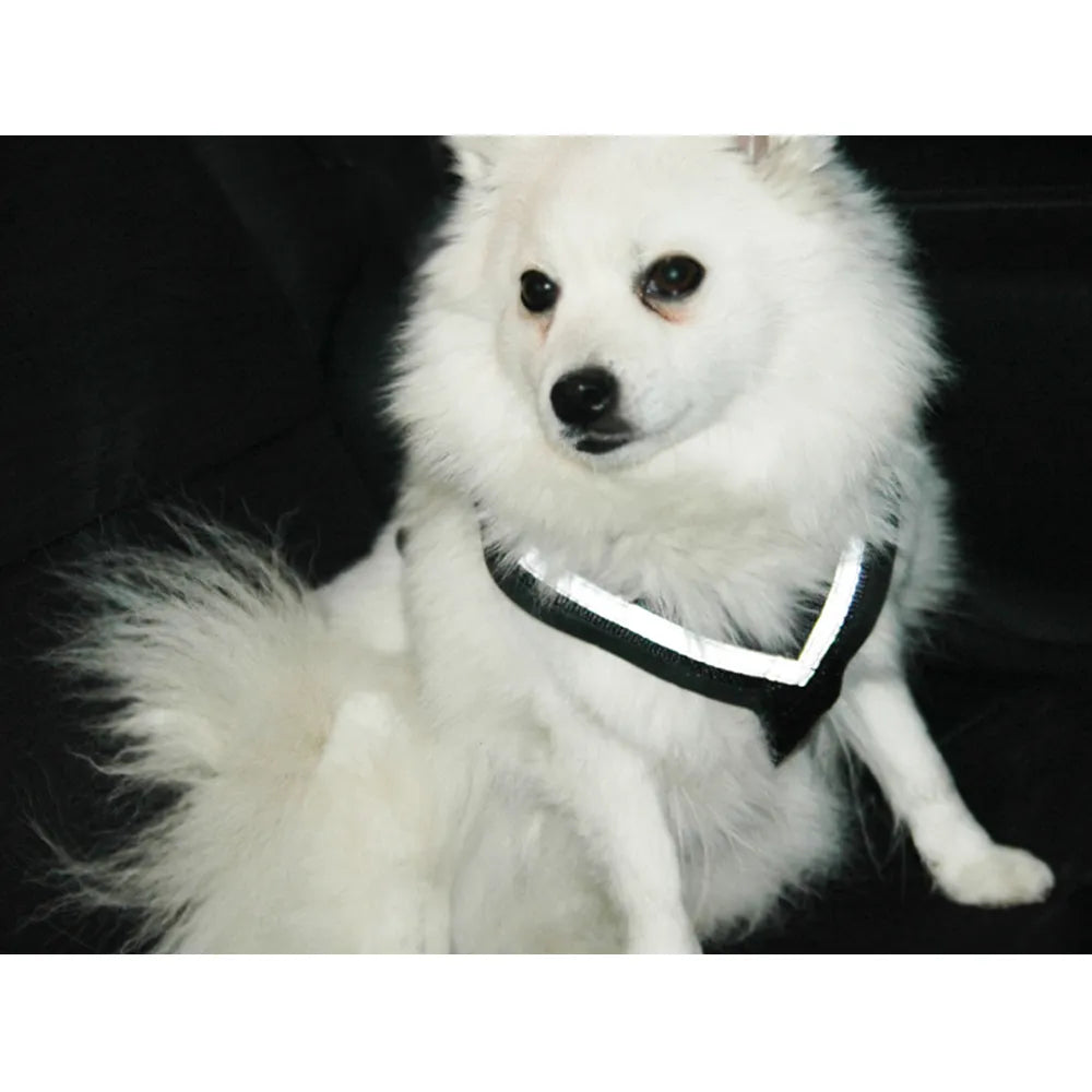 Mim Allsafe Liten <15kg Bilsele