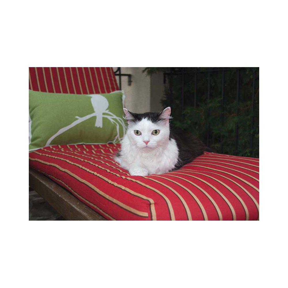 Kattdörr 4vägs Vit Petsafe Manuell Låsning