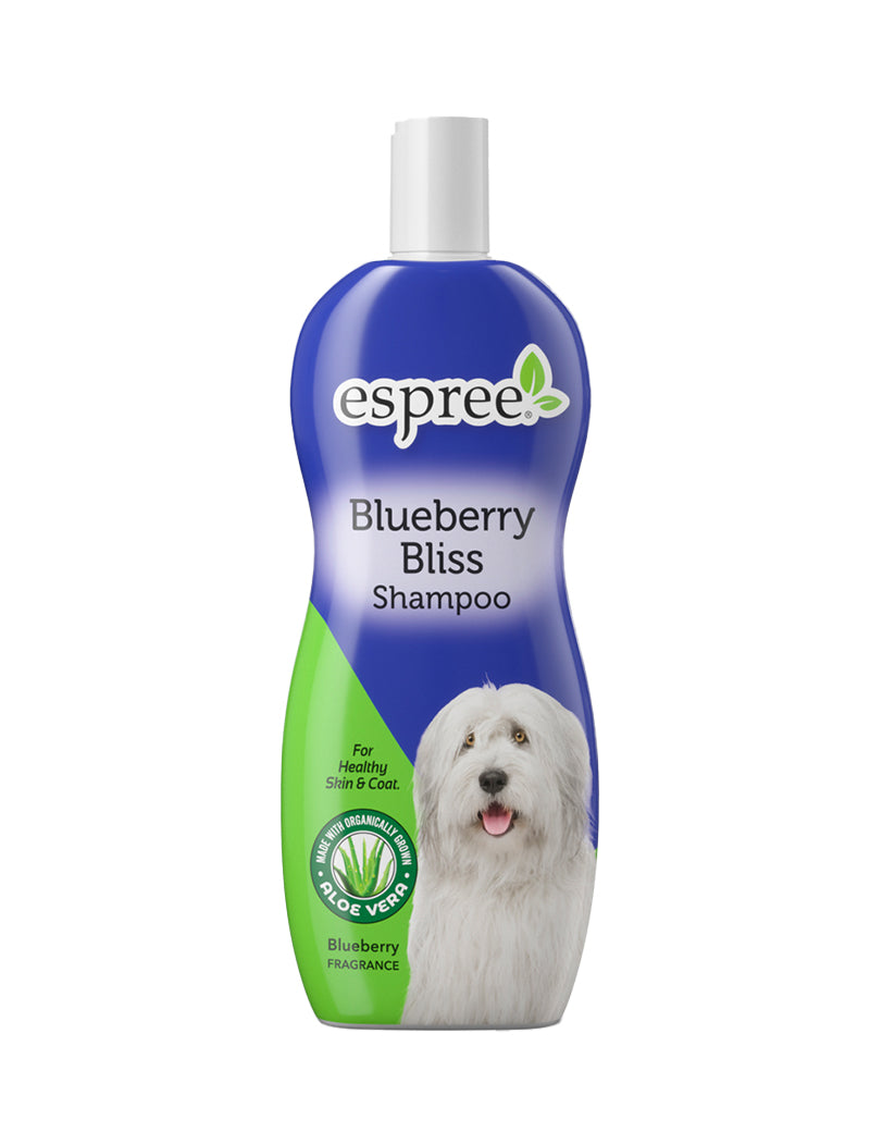 Blueberry Schampo