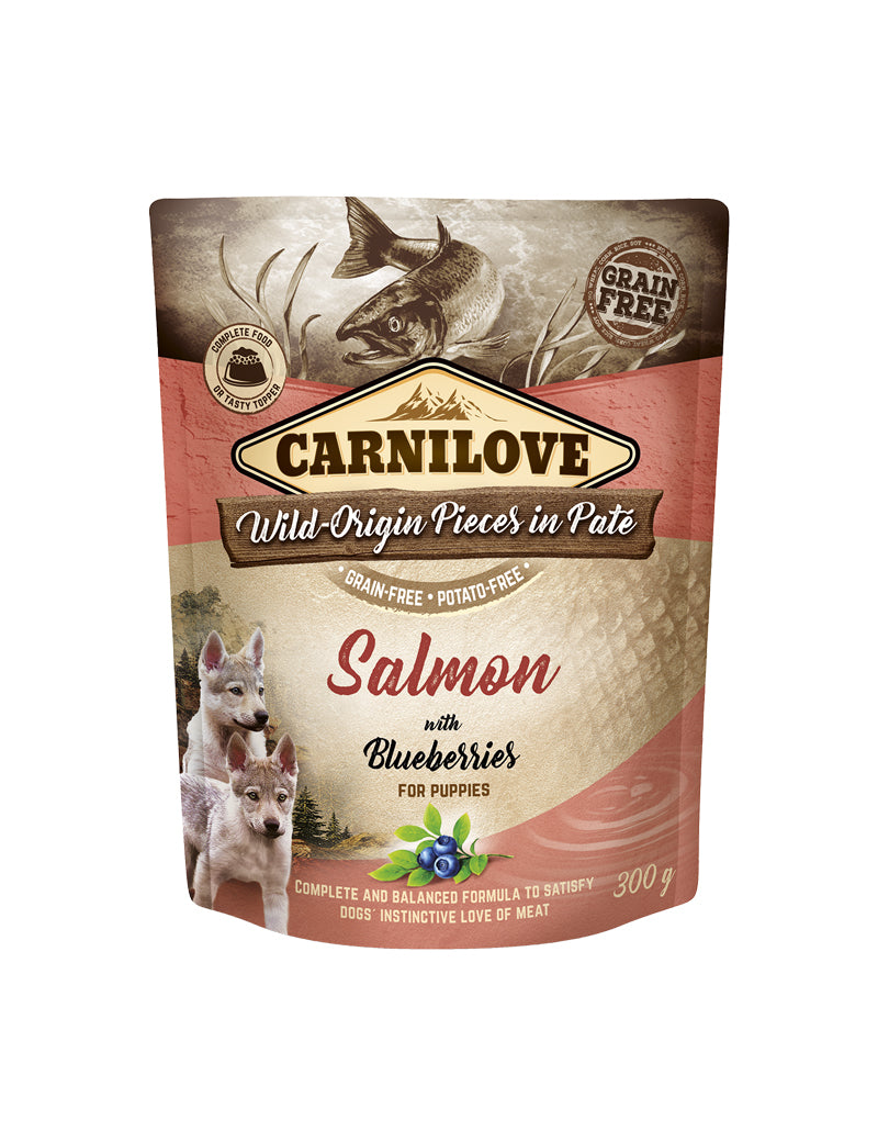 Carnilove Dog Pouch Paté Salmon with B. pupp 300 g