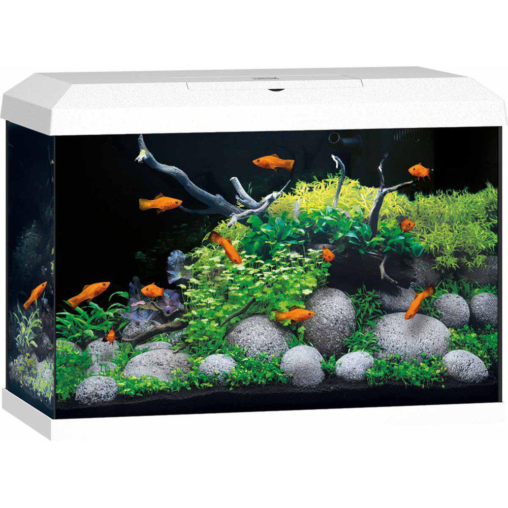 Juwel Akvarium Primo 70 Vit 2.0 61x31x44cm Ca70l