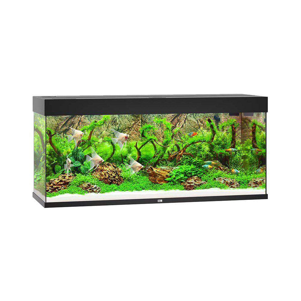 Juwel Akvarium Led Rio 240 Svart 121x41x55cm 240l