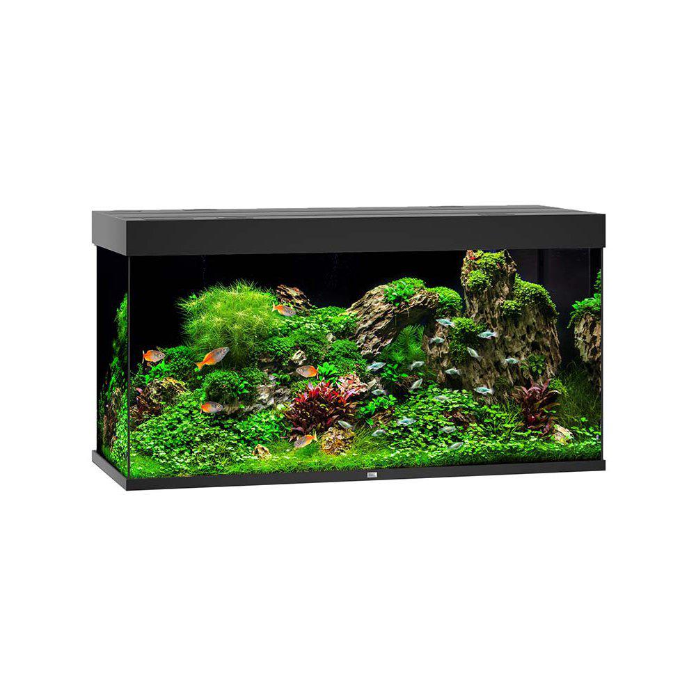 Juwel Akvarium Led Rio 350 Svart 121x51x66cm 350l