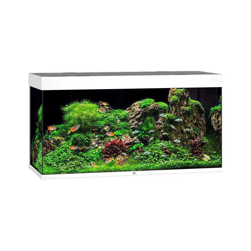 Juwel Akvarium Led Rio 350 Vit 121x51x66cm 350l