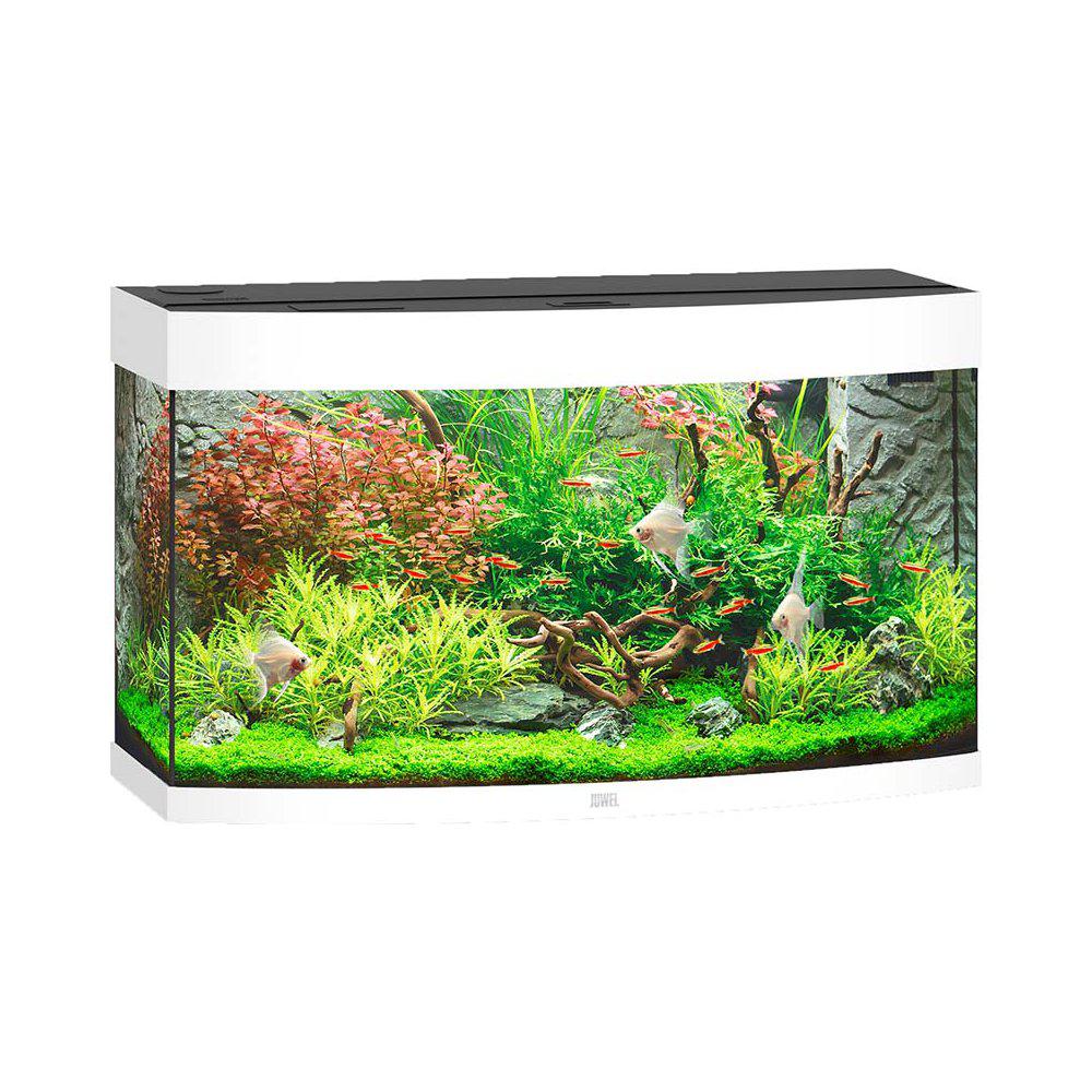 Juwel Akvarium Led Vision 180 Välvd Vit92x41x55cm 180l