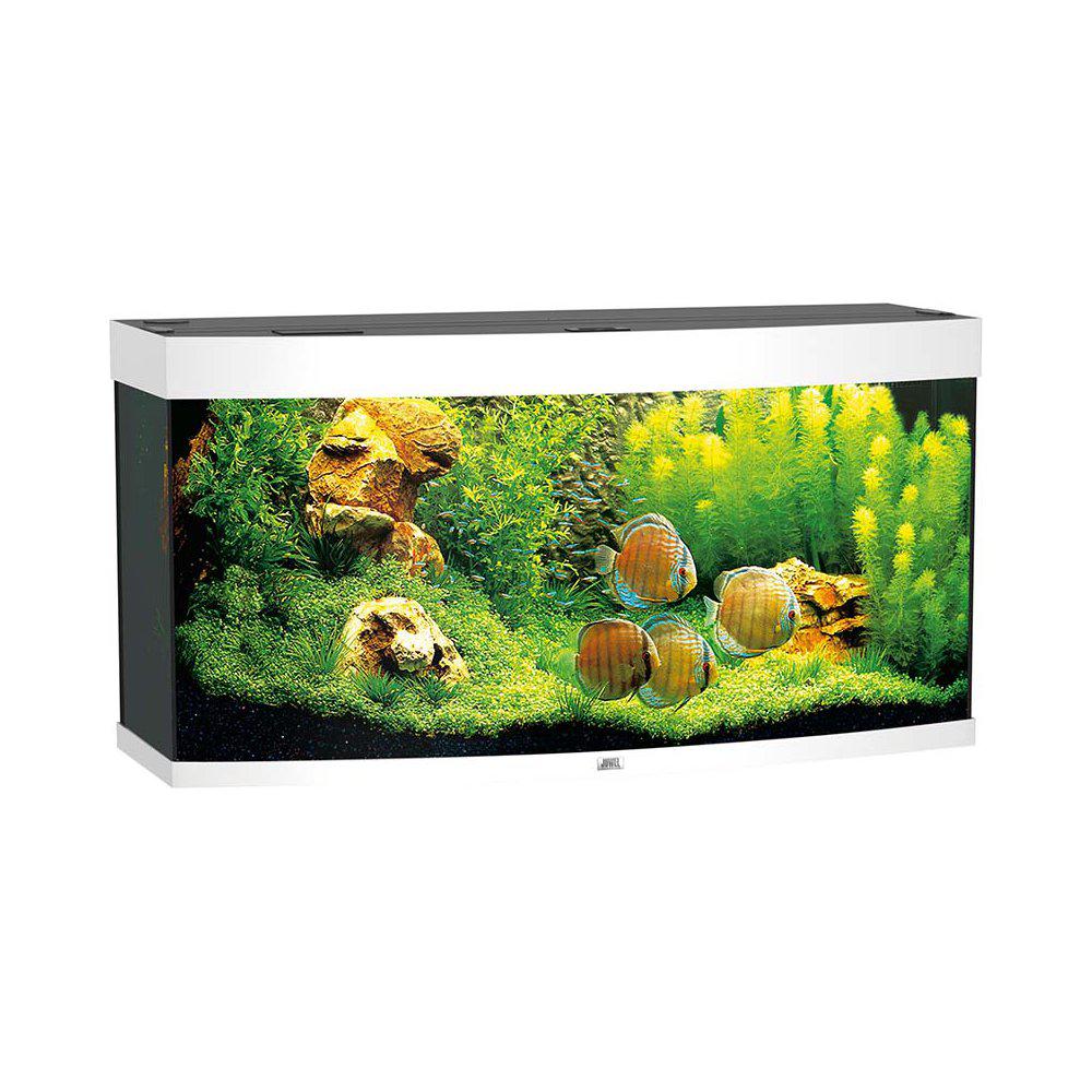 Juwel Akvarium Led Vision 260 Välvd Vit121x46x64cm 260l