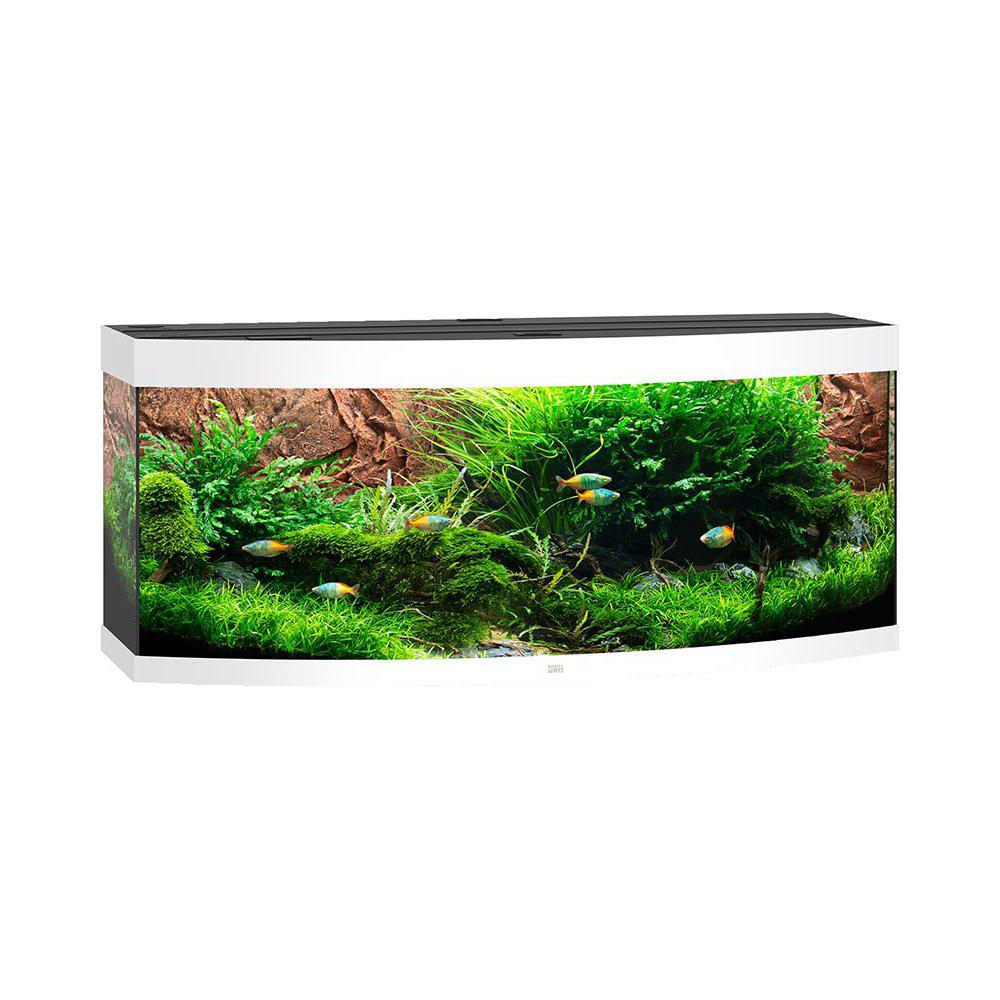 Juwel Akvarium Led Vision 450 Välvd Vit151x61x64cm 450l