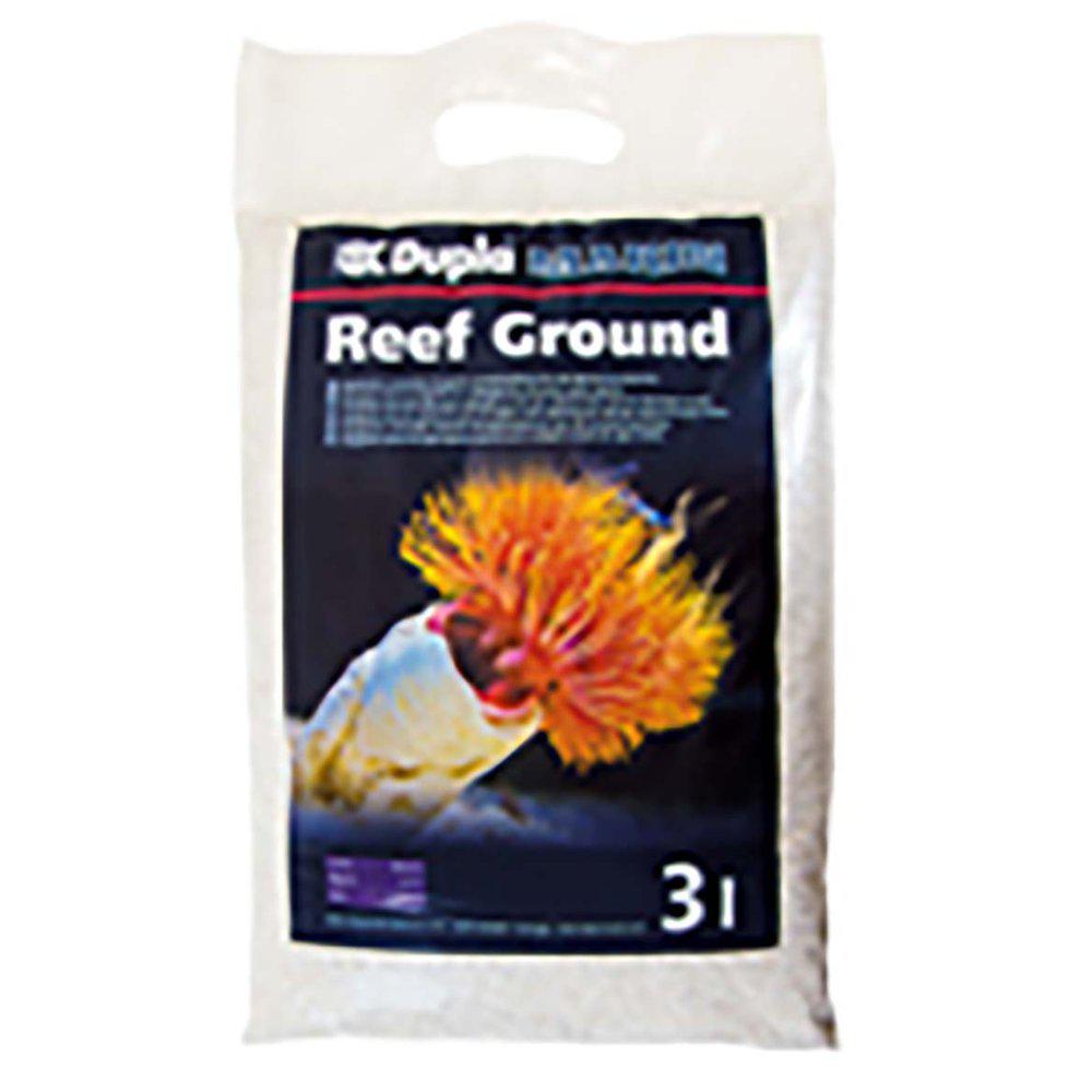 Reef Ground 2