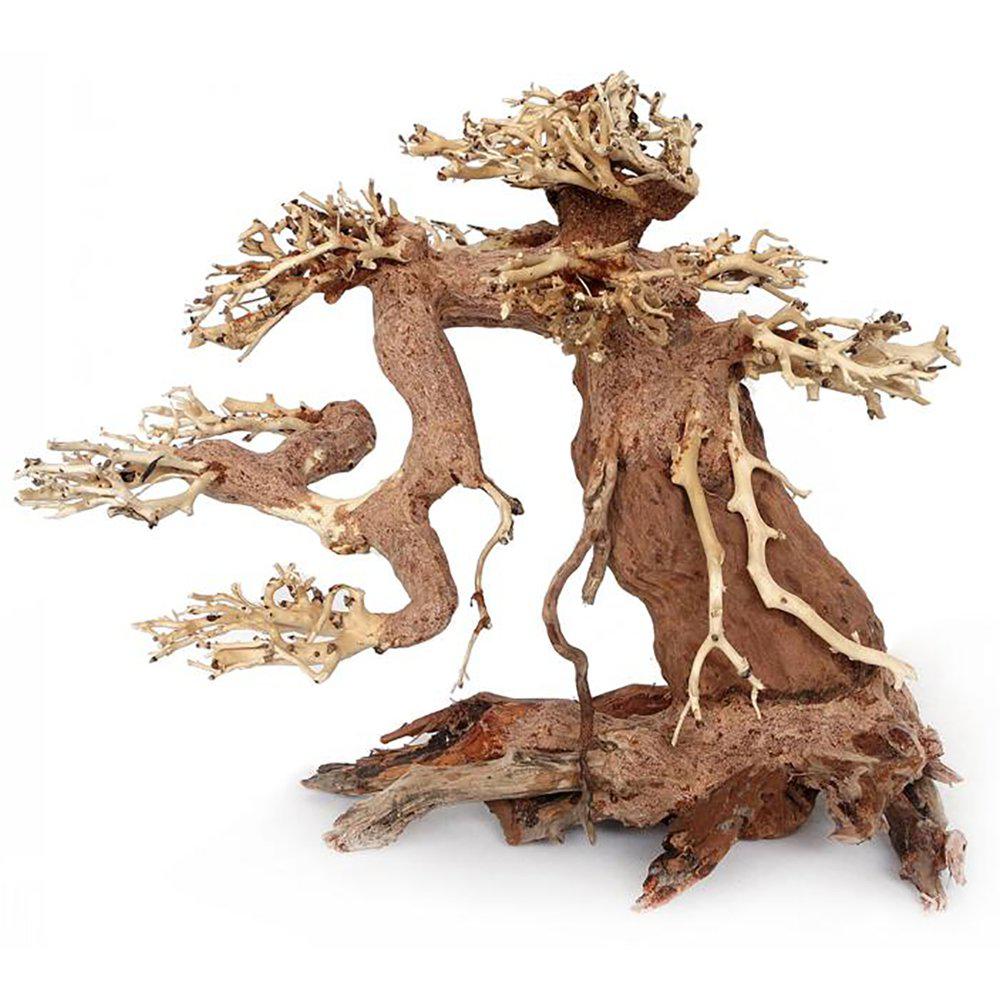 Bonsai Wood M 23x17x10cm