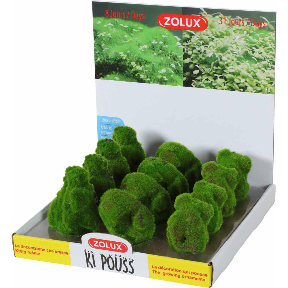 Zolux Kipouss Pebble Stone With Live Plant Seeds