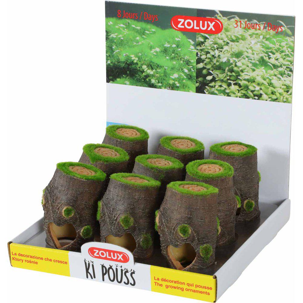 Zolux Kipouss Trädstam S With Live Plant Seeds