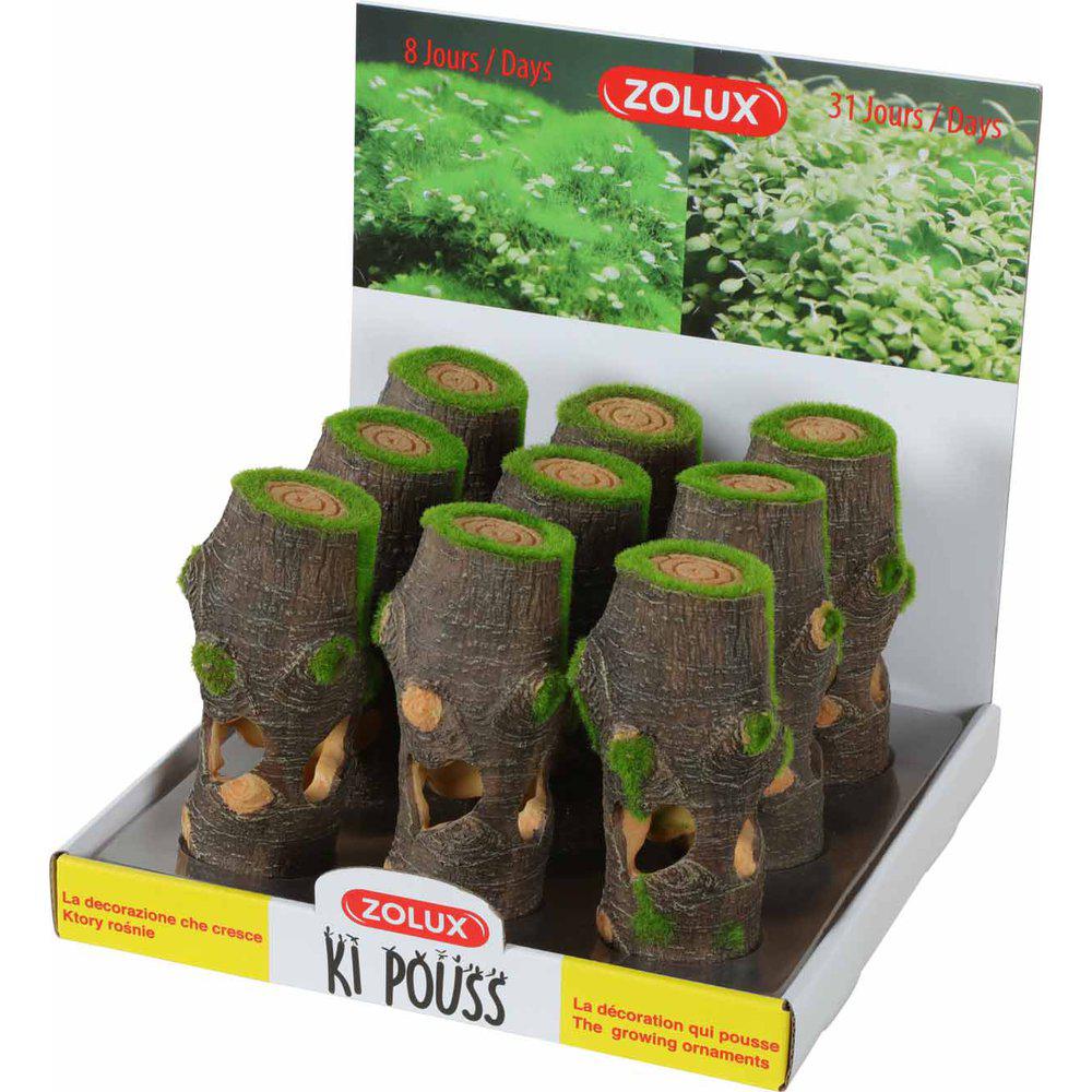 Zolux Kipouss Trädstam M With Live Plant Seeds