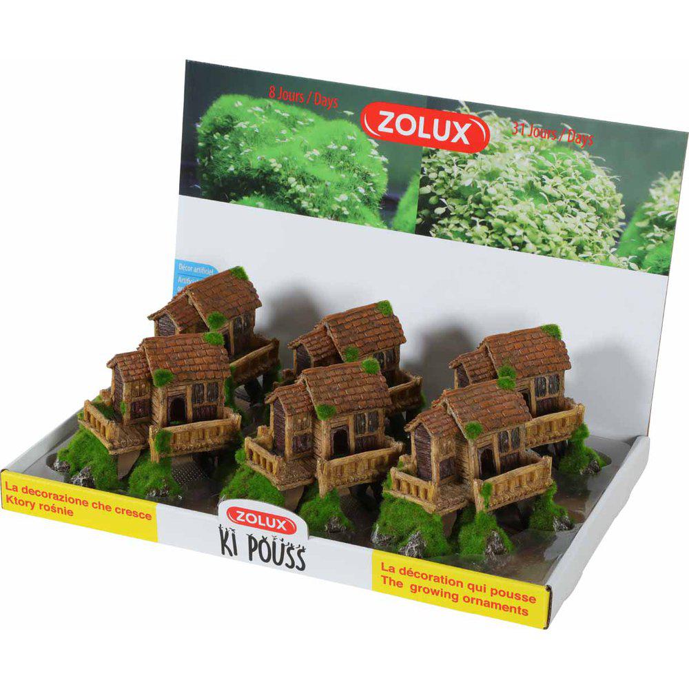 Zolux Kipouss Hus S With Live Plant Seeds