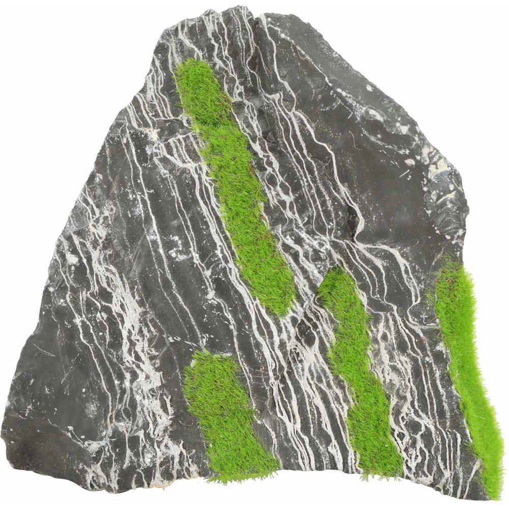 Zolux Kipouss Two Coloured Stone M With Live Plant Seeds