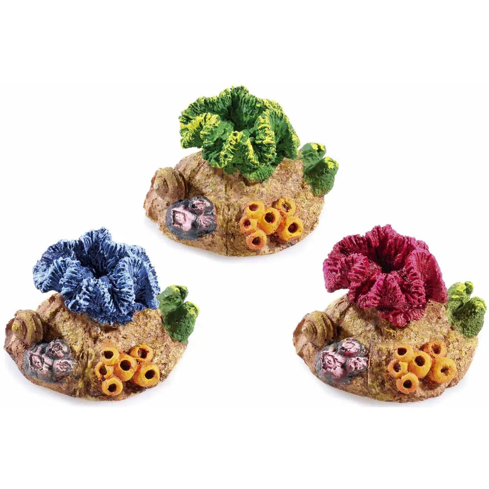 Mini Koraller Mix 7x6x4,5cm