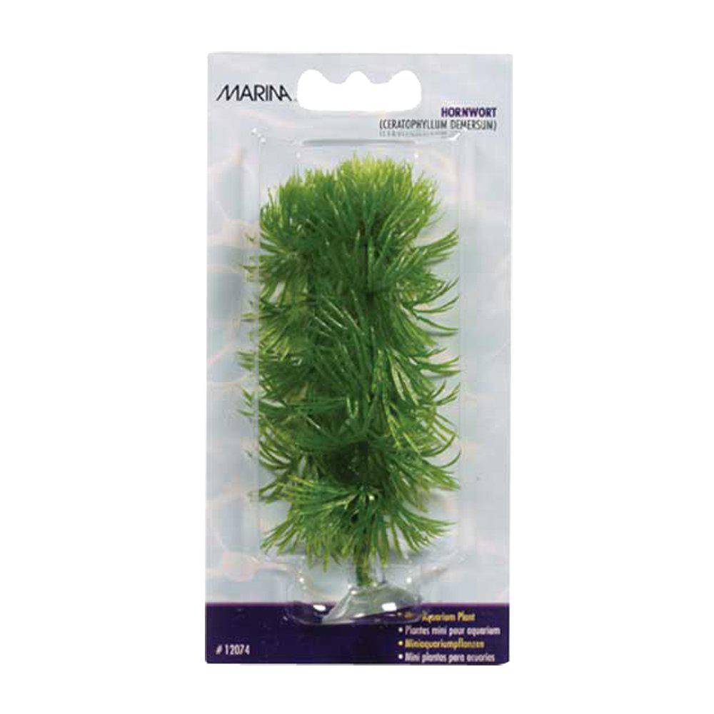 Plastväxt Hornwort Mini 10cm Med Sugkopp