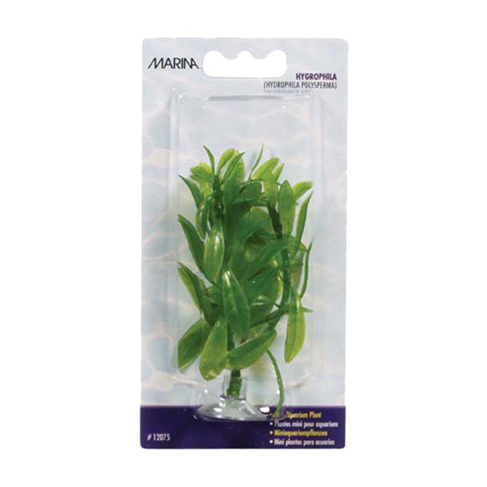 Plastväxt Hygrophila Mini 10cm Med Sugkopp