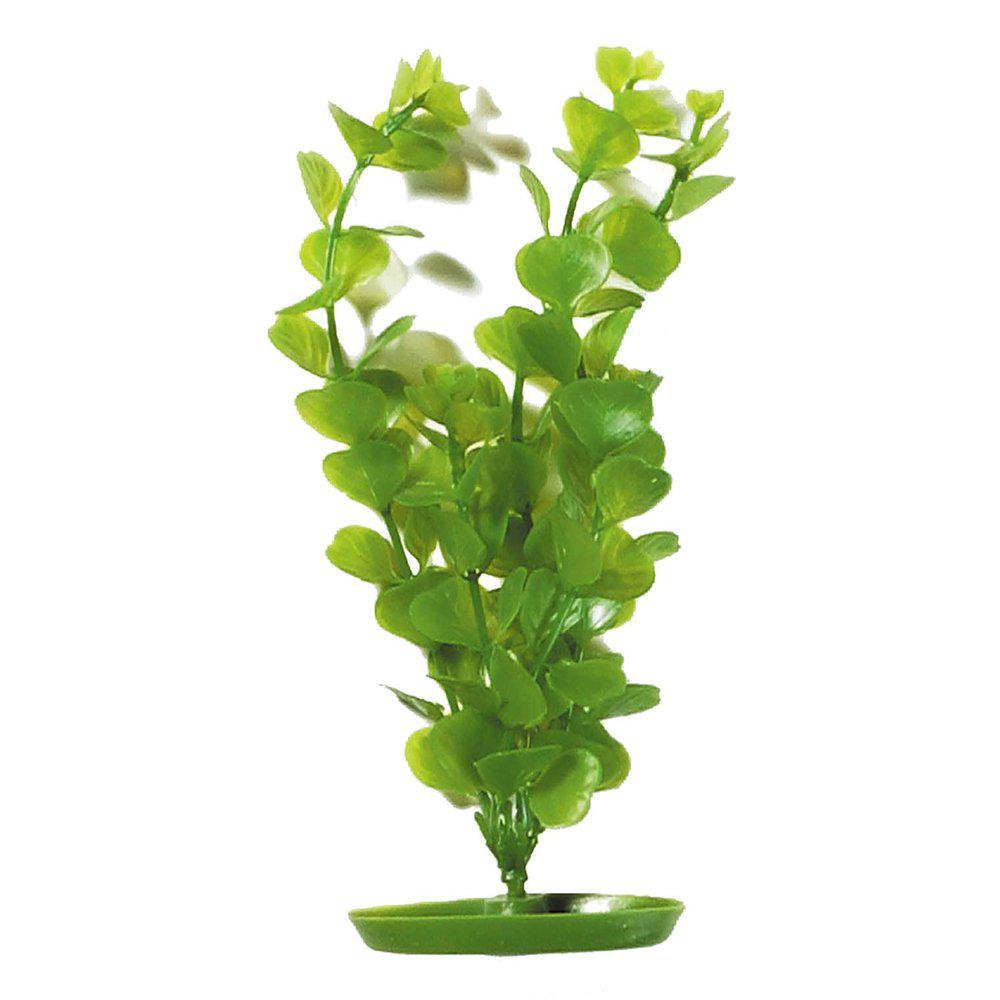 Plastväxt Moneywort20cm