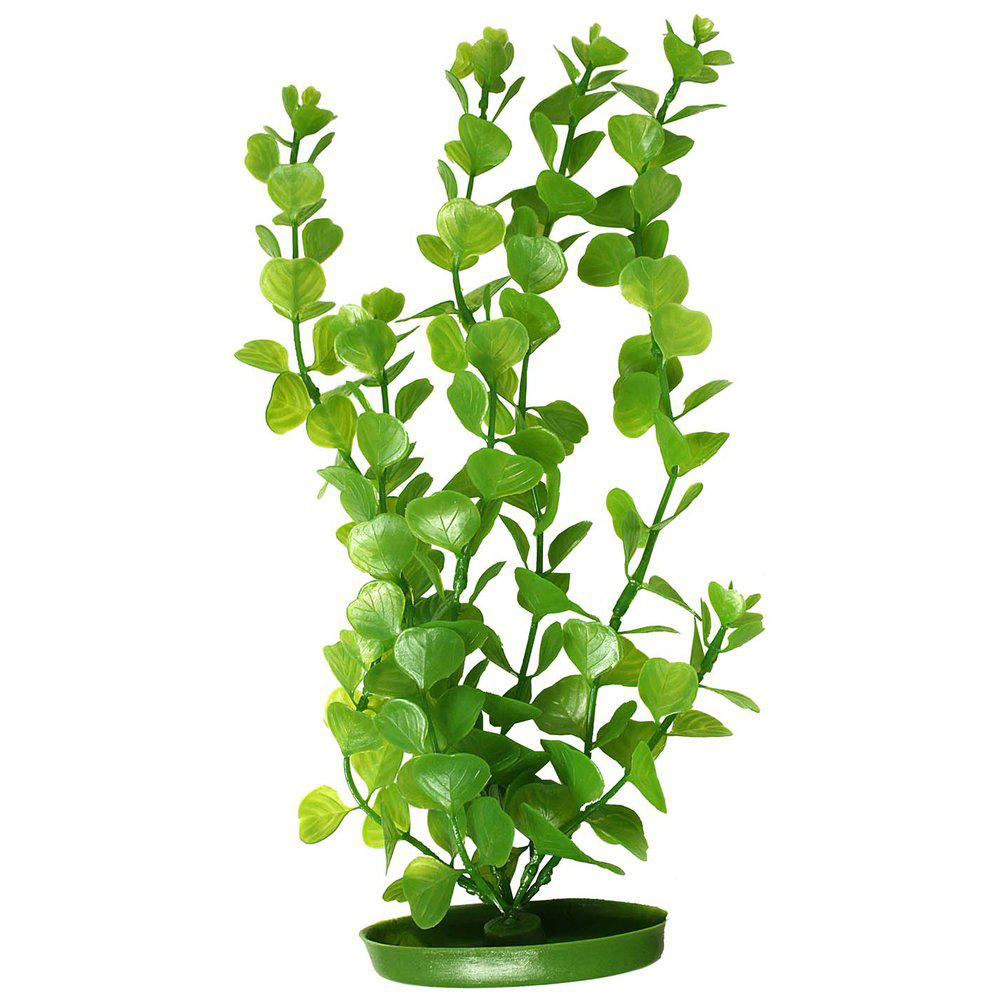 Plastväxt Moneywort30cm