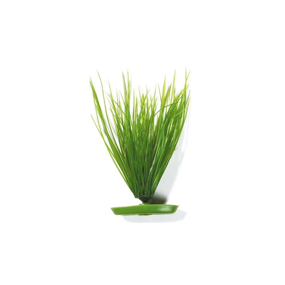 Plastväxt Hairgrass13cm