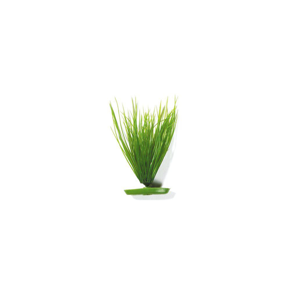 Plastväxt Hairgrass20cm