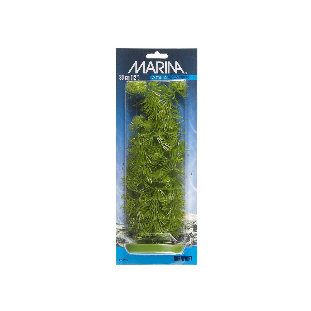 Plastväxt Hornwort 30cm