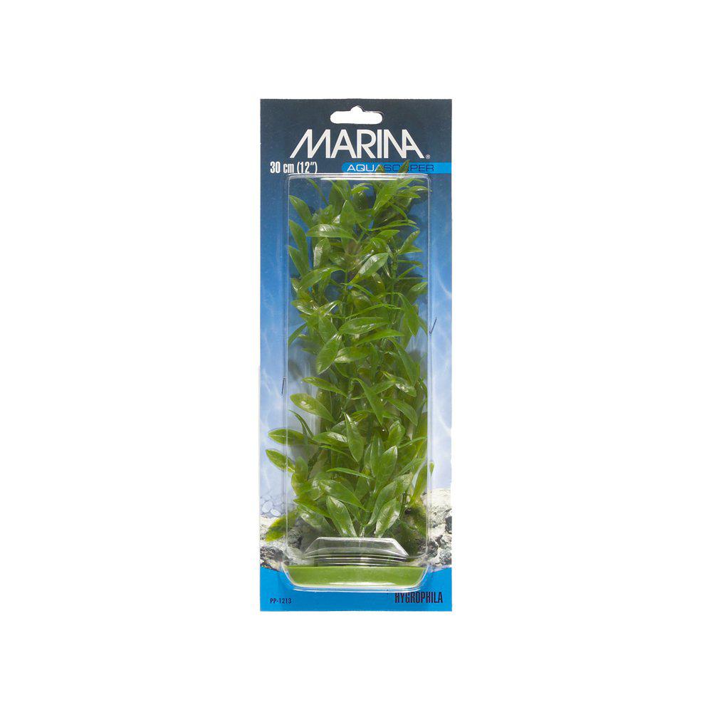 Plastväxt Hygrophila 30cm