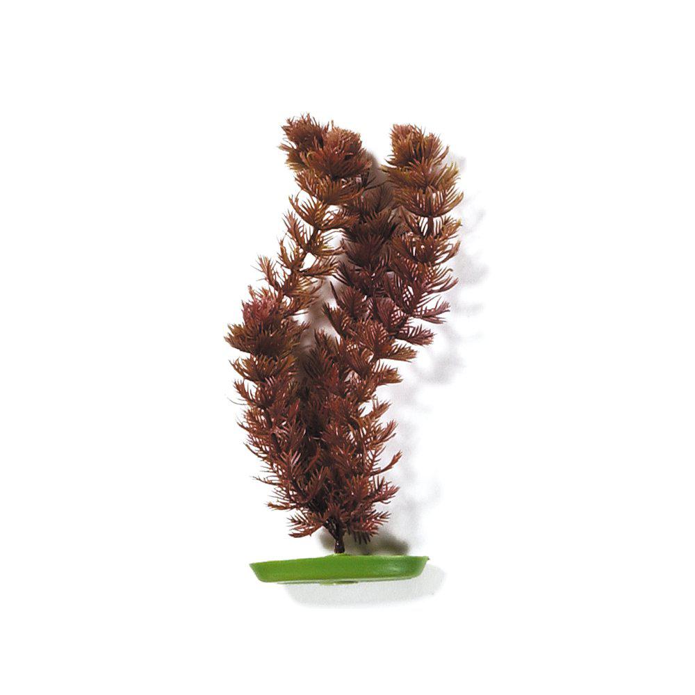 Plastväxt Foxtail 30cm