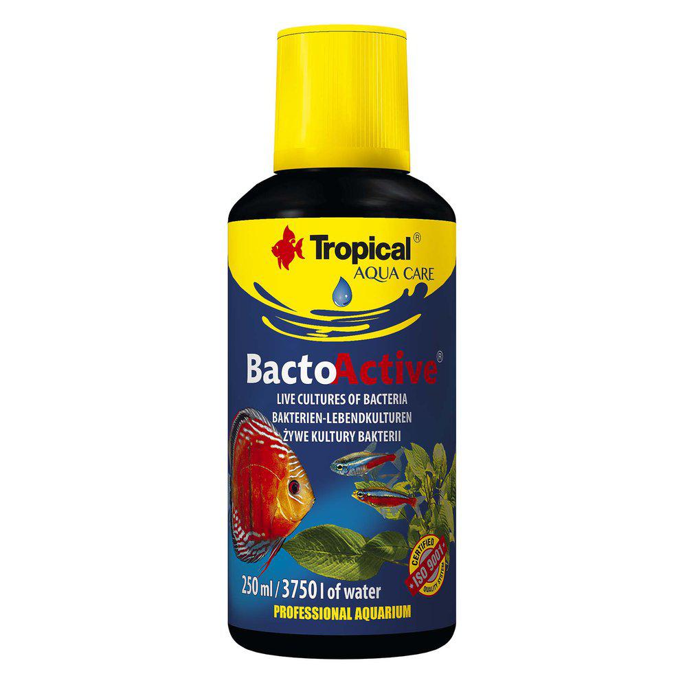 Tropical Bacto Active 250ml