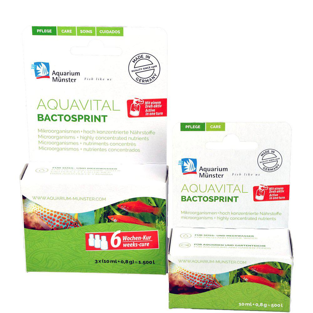 Munster Bactosprint10ml + 8g *3