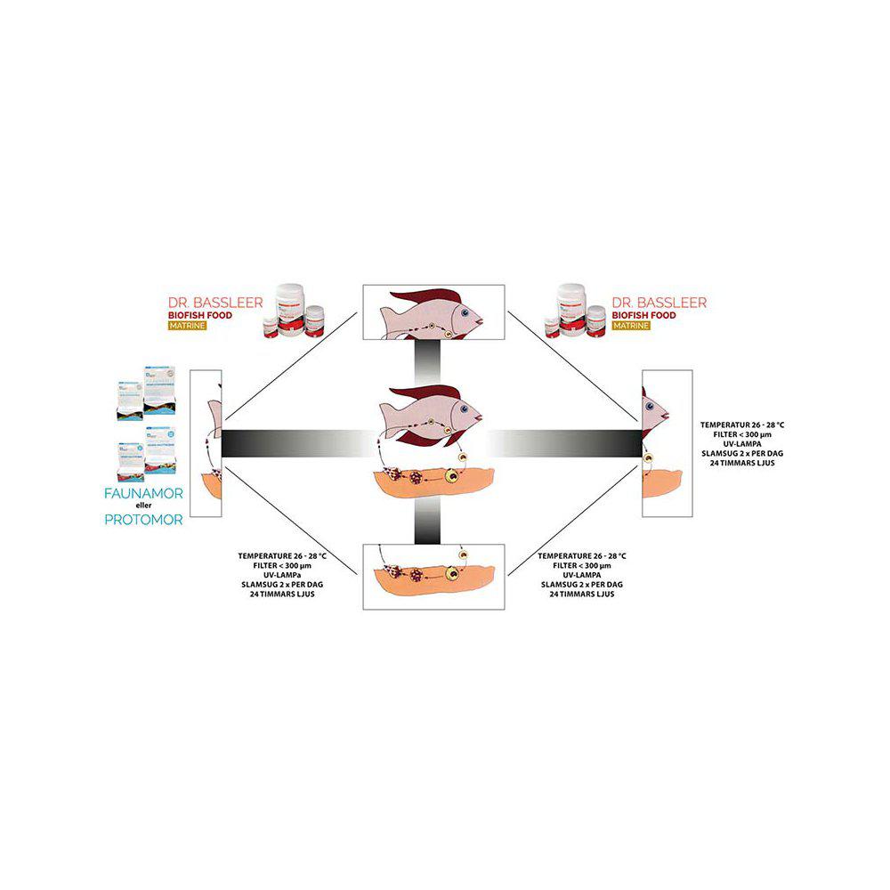 Dr Bassleer Biofishfood Matrine L 60g