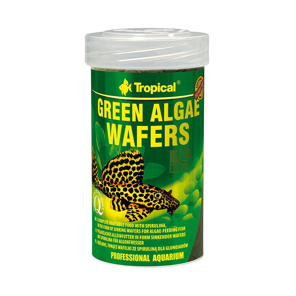 Tropical Algae Wafers 100ml/45g