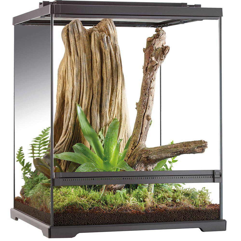 Terrarium Exoterra Tree Frog 45x45x60cmsmall/tall