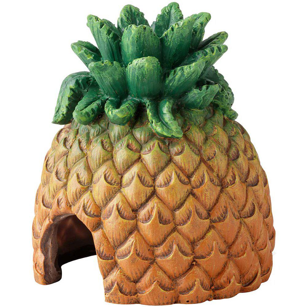 Grotta Ananas Exoterra