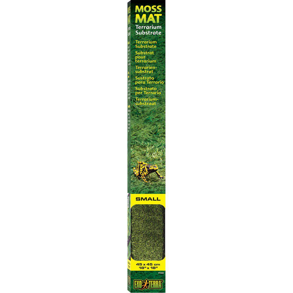 Moss Matta Small 45x45cm Exoterra