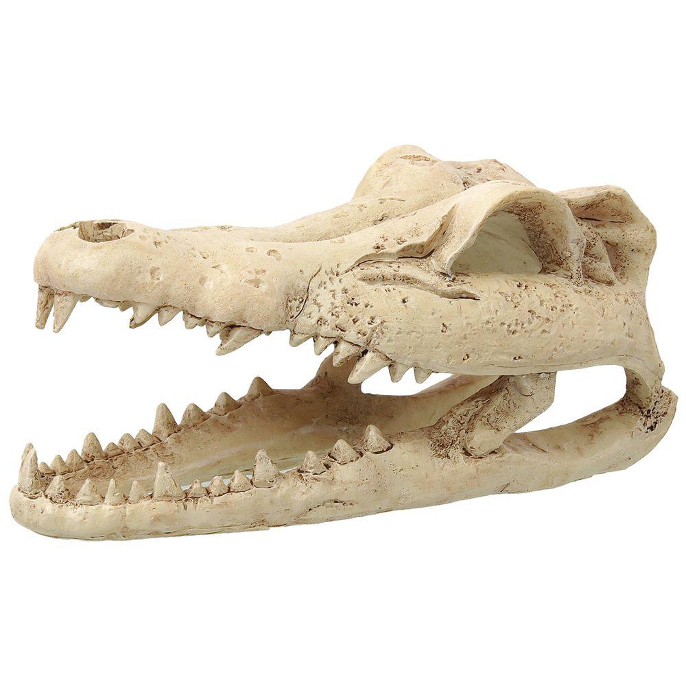 Rp Small Crocodile Skull 13,8x6,8x6,5cm