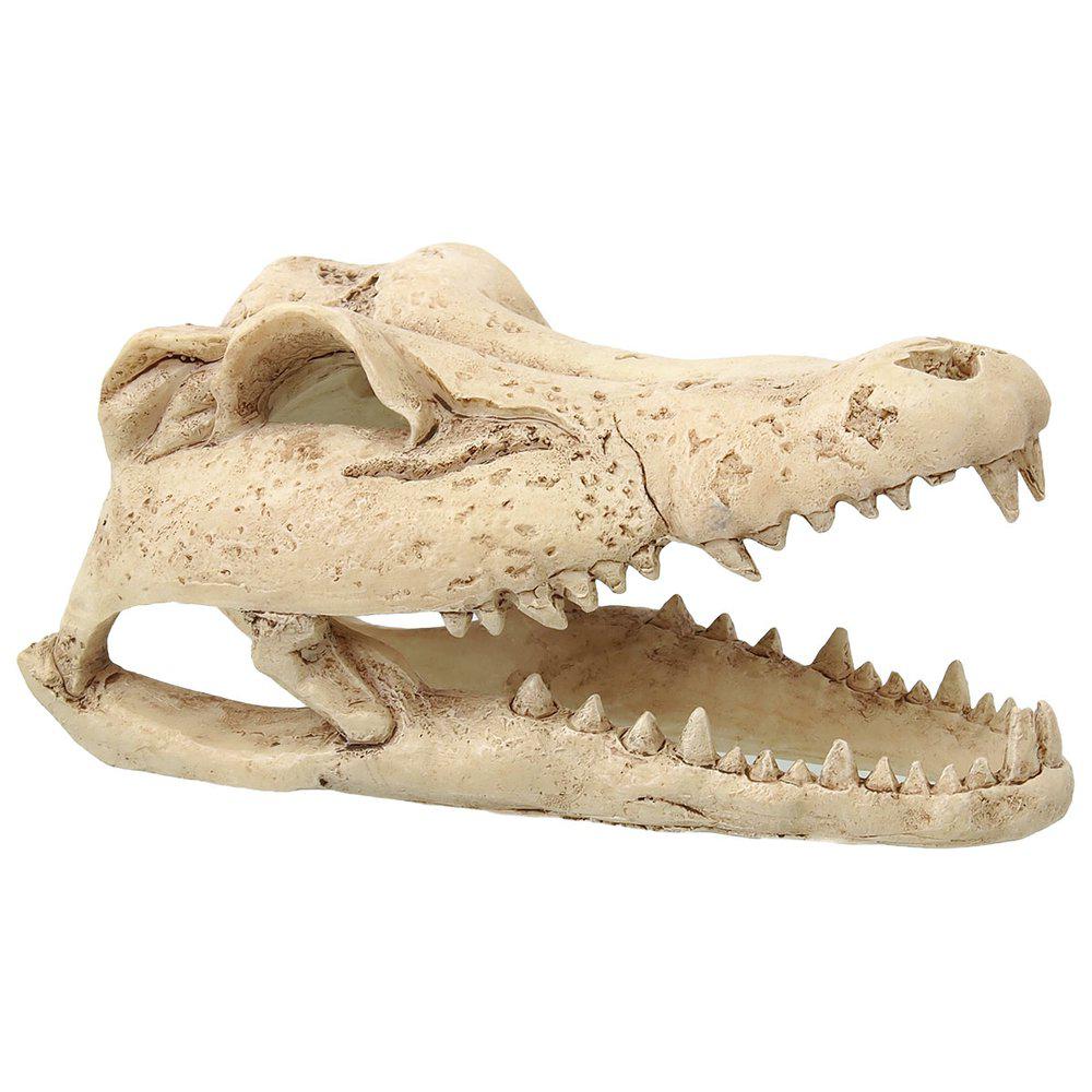 Rp Small Crocodile Skull 13,8x6,8x6,5cm