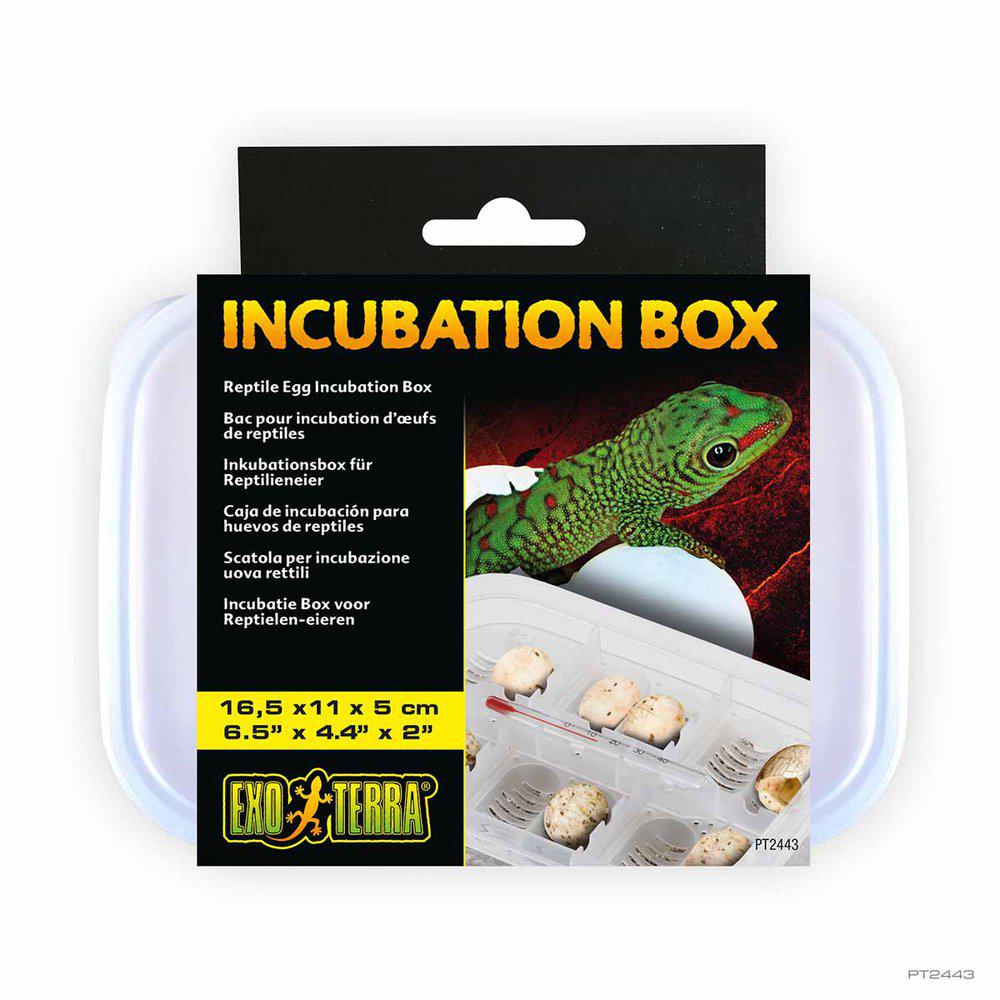 Exoterra Incubatioon Box