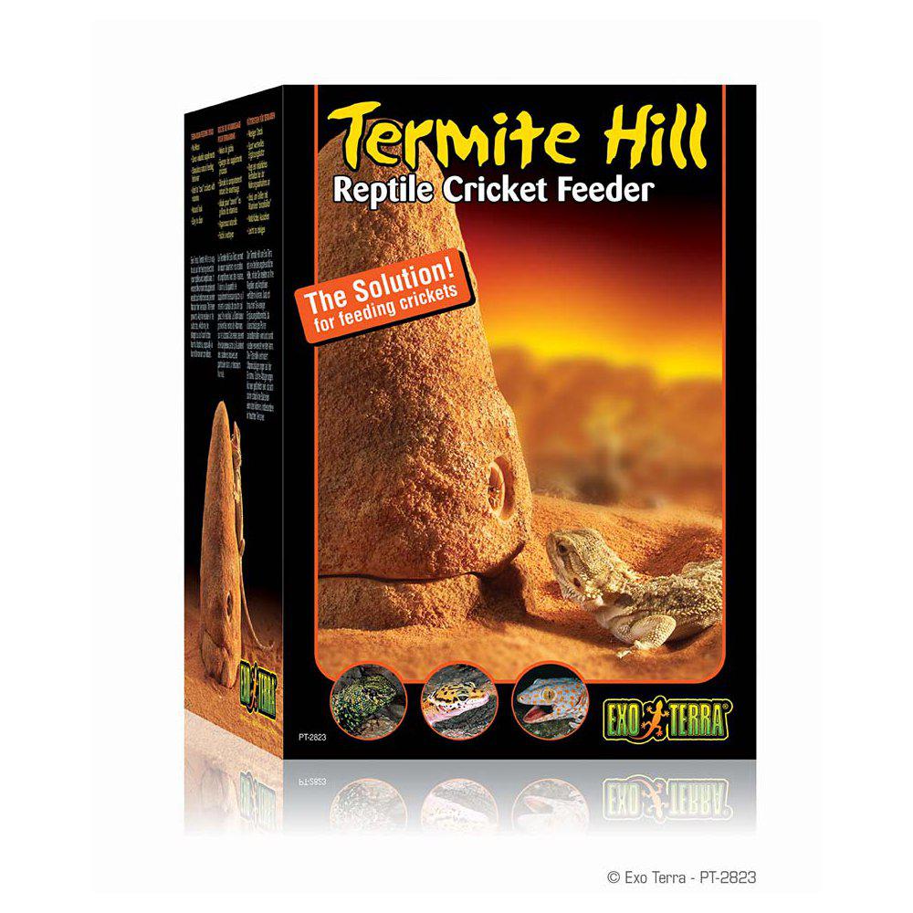 Termite Hill Exoterra