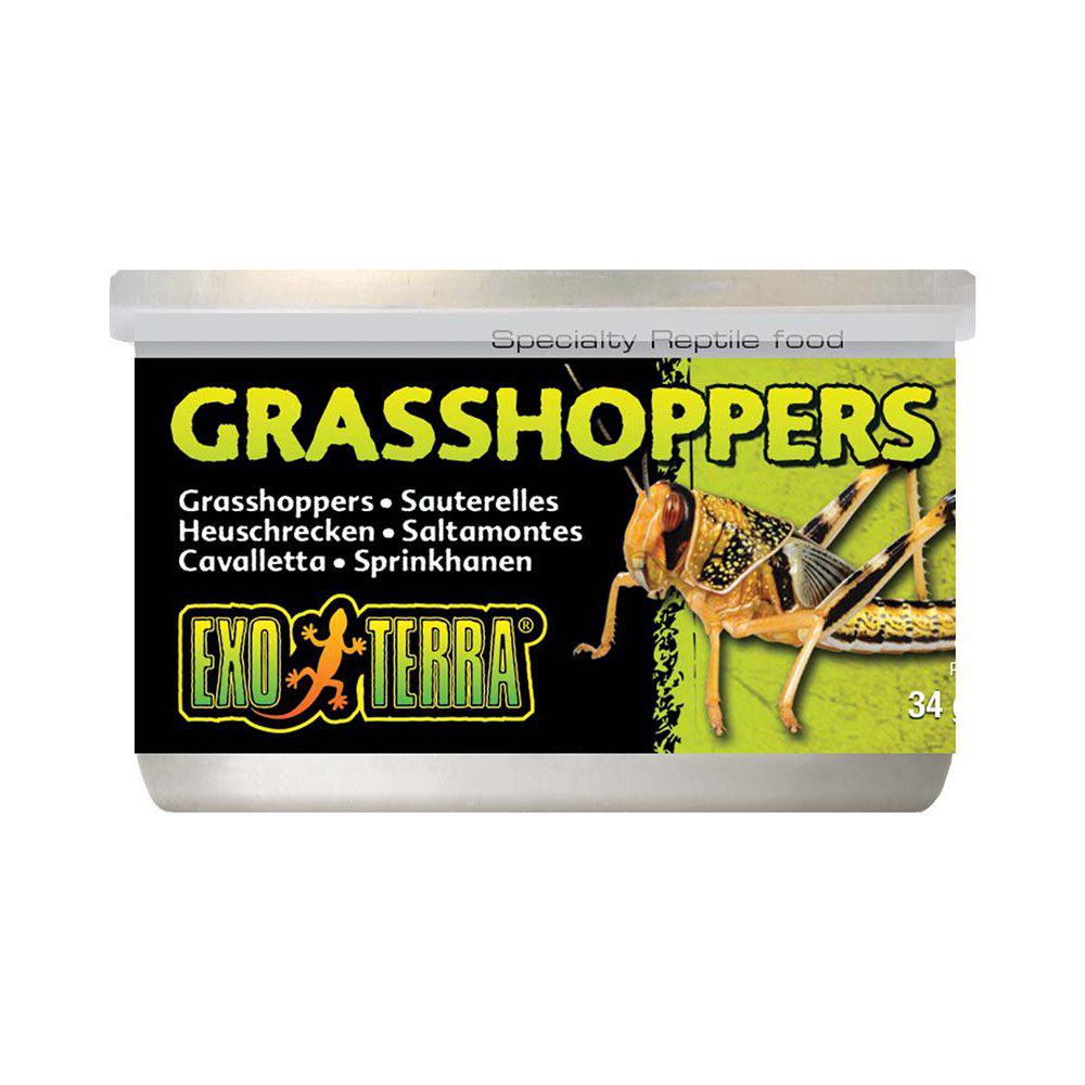 Gräshoppor 34gr Konserverade