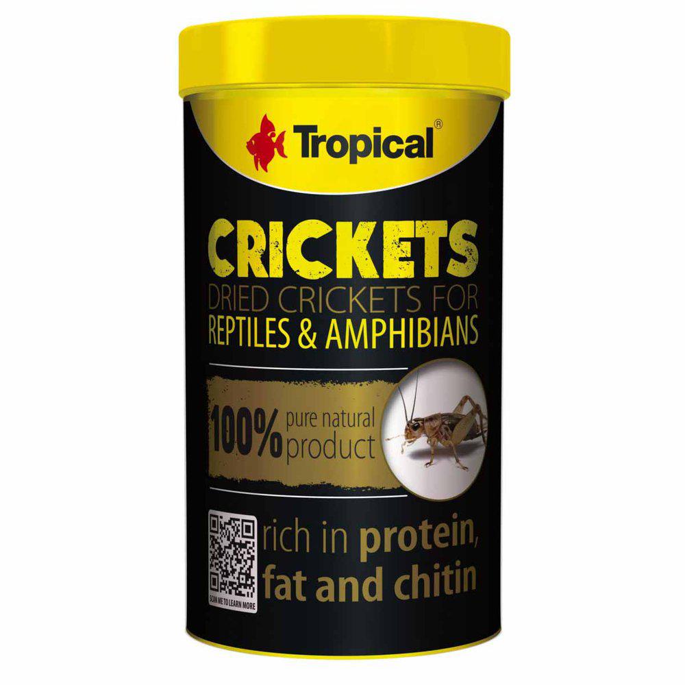 Tropical Crickets 100ml / 10g