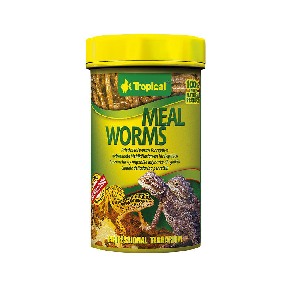 Tropical Mealworms 100ml / 13g