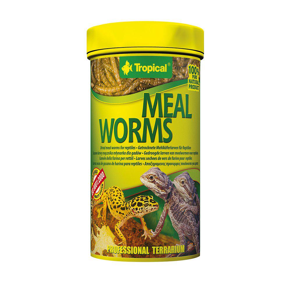 Tropical Mealworms 250ml / 30g