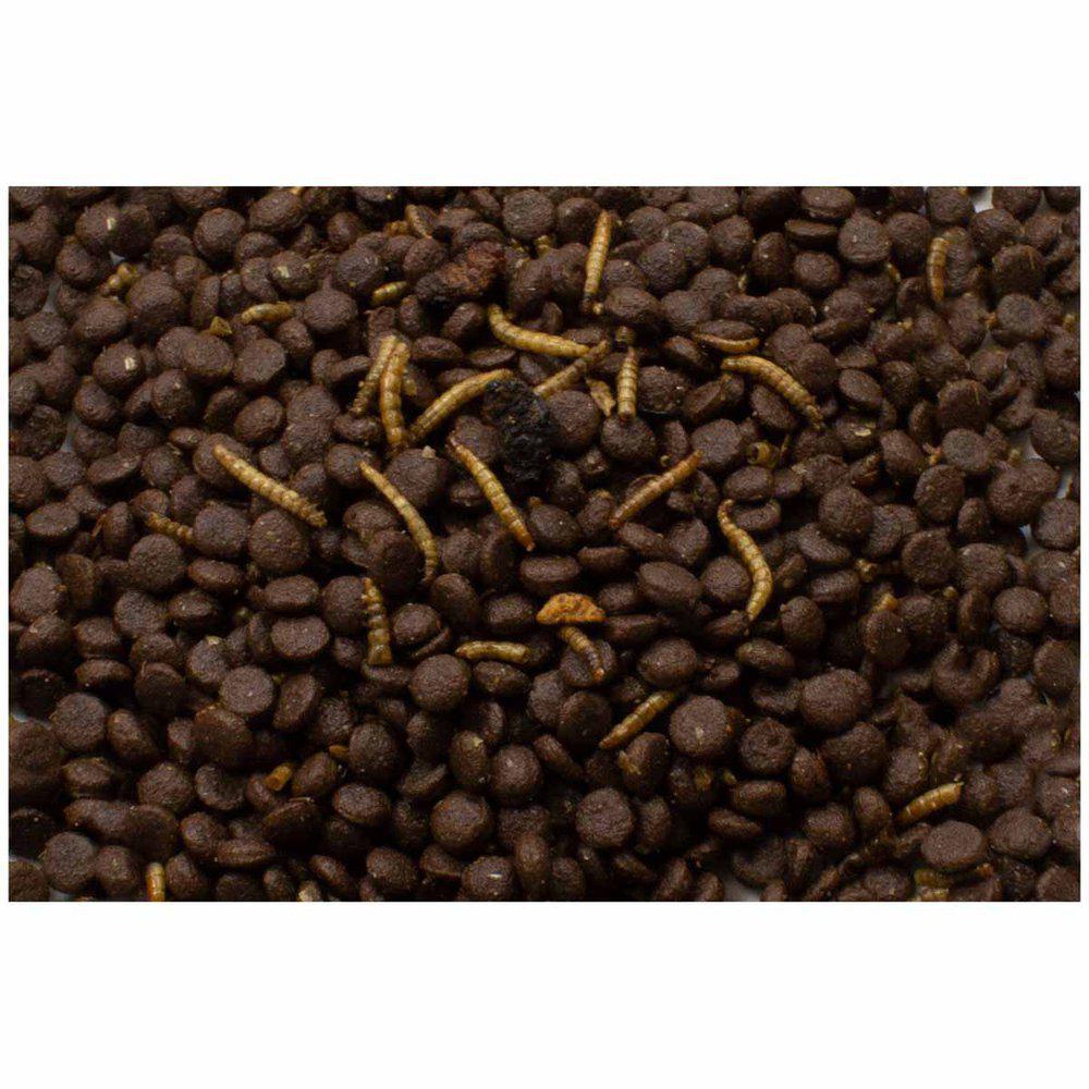 Jr Farm Grainless Hedgehog 750g