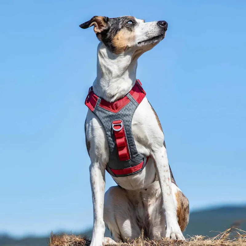 Kurgo Journey Air Harness Red Large