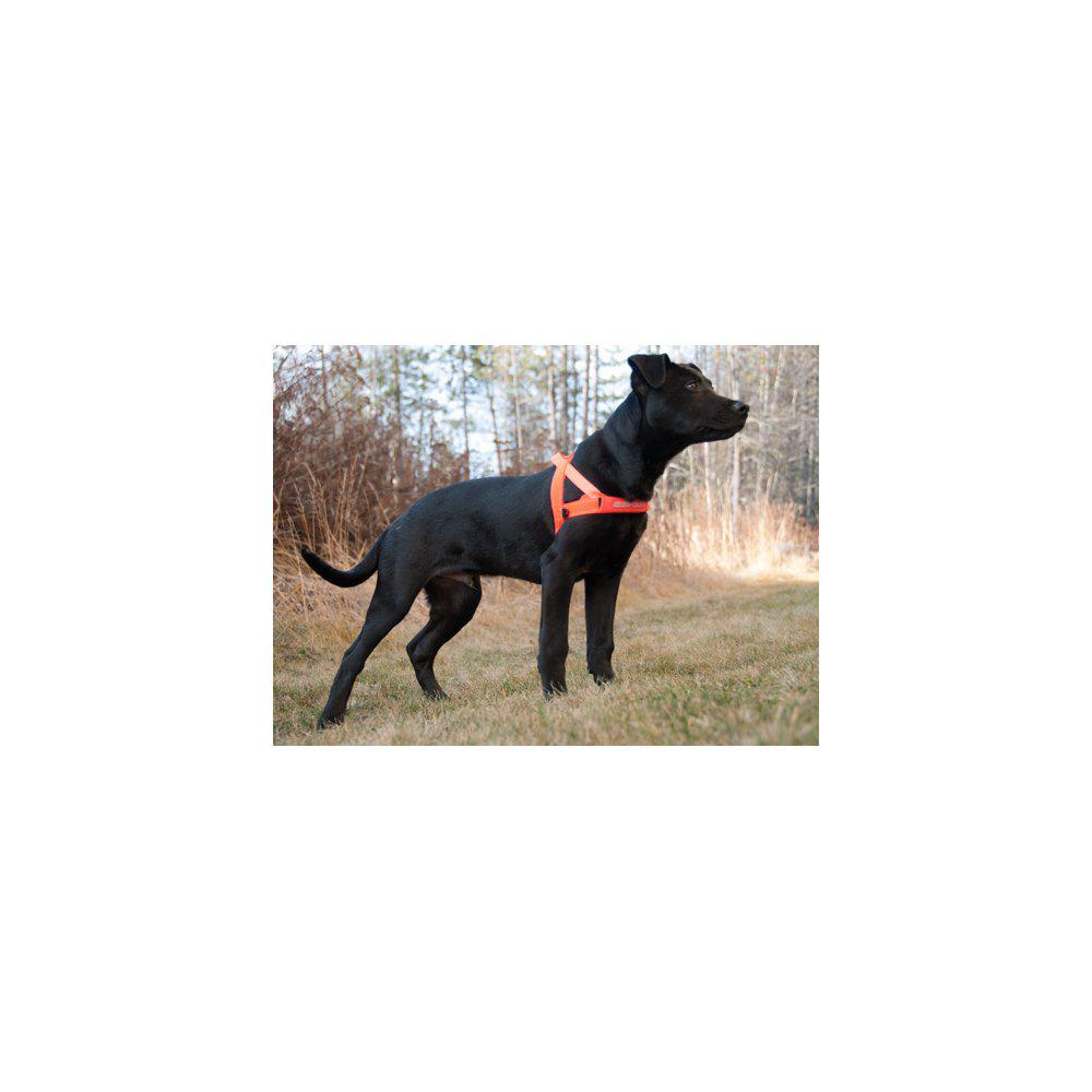 Ezydog Sele Quickfit Neopren Orange Xxs2