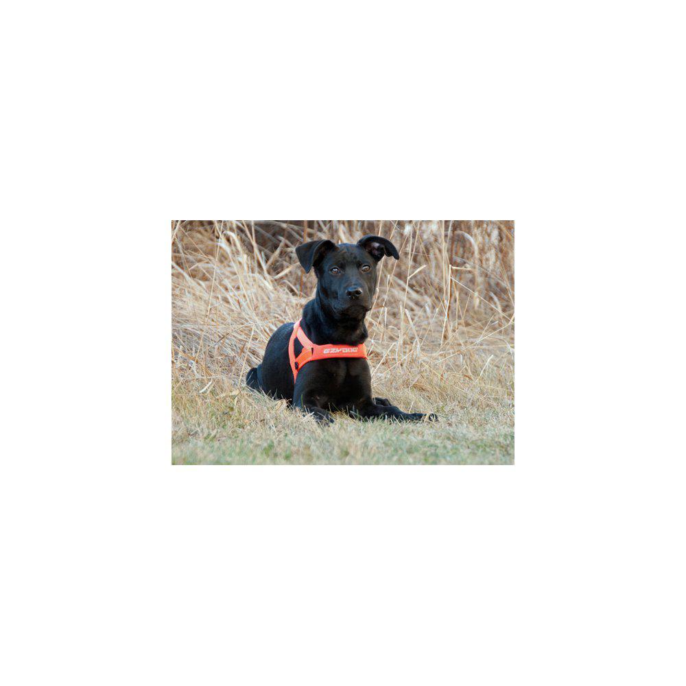 Ezydog Sele Quickfit Neopren Orange Xxs2